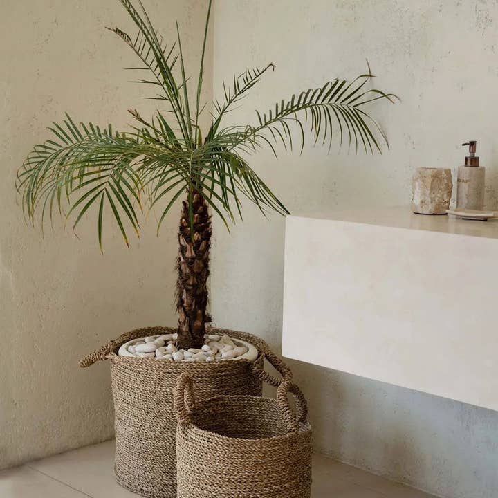 Bazar Bizar Living - Vendita all'ingrosso Cestini - Le Ceste Sensity - Naturale - XL1