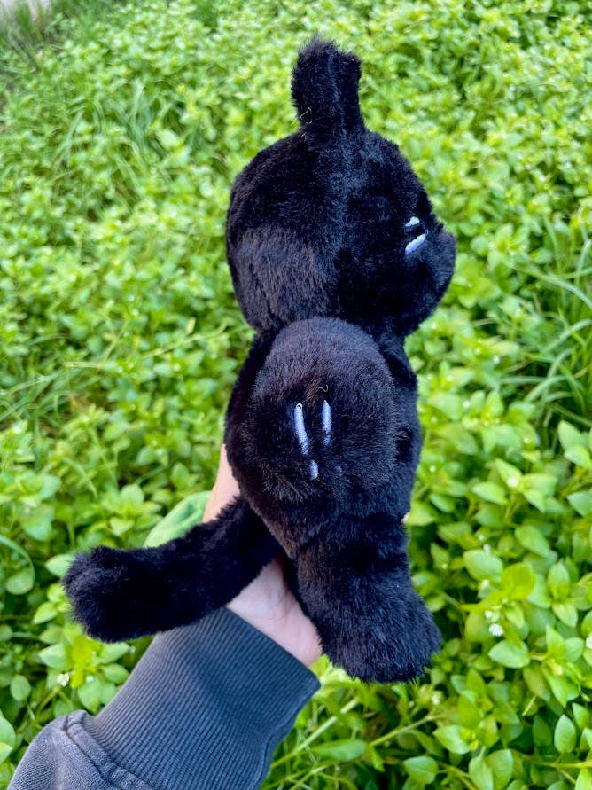 Paper Rat Illustrations - Wholesale Stuffed/Plush Toy - Kids & Baby - Frog the Cat Plushie8