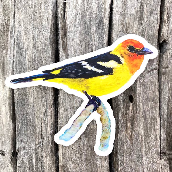 Western Tangara : Autocollants en vinyle pour la vente par Dark Fox Creative
