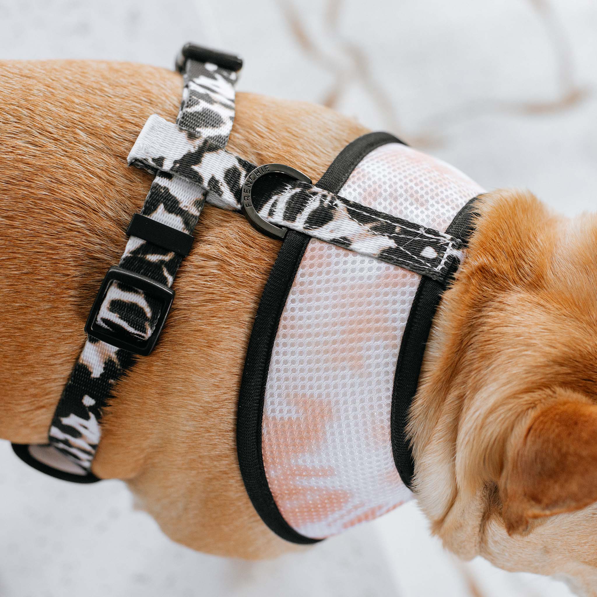 Frenchie – wholesale Pet harness – Dog – Frenchie Duo Reversible Harness - Earthy Tie Dye2