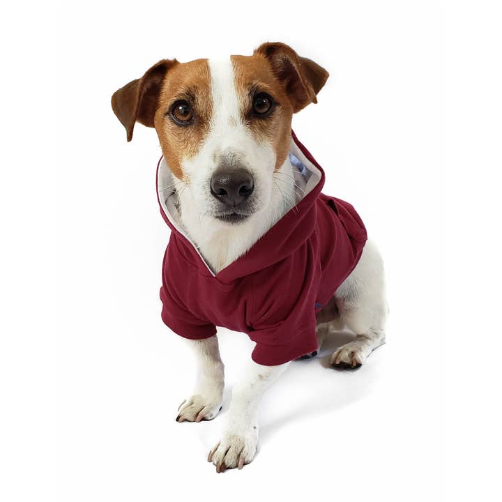 Hoodie voor honden - Bordeaux rood voor wholesale door DJANGO