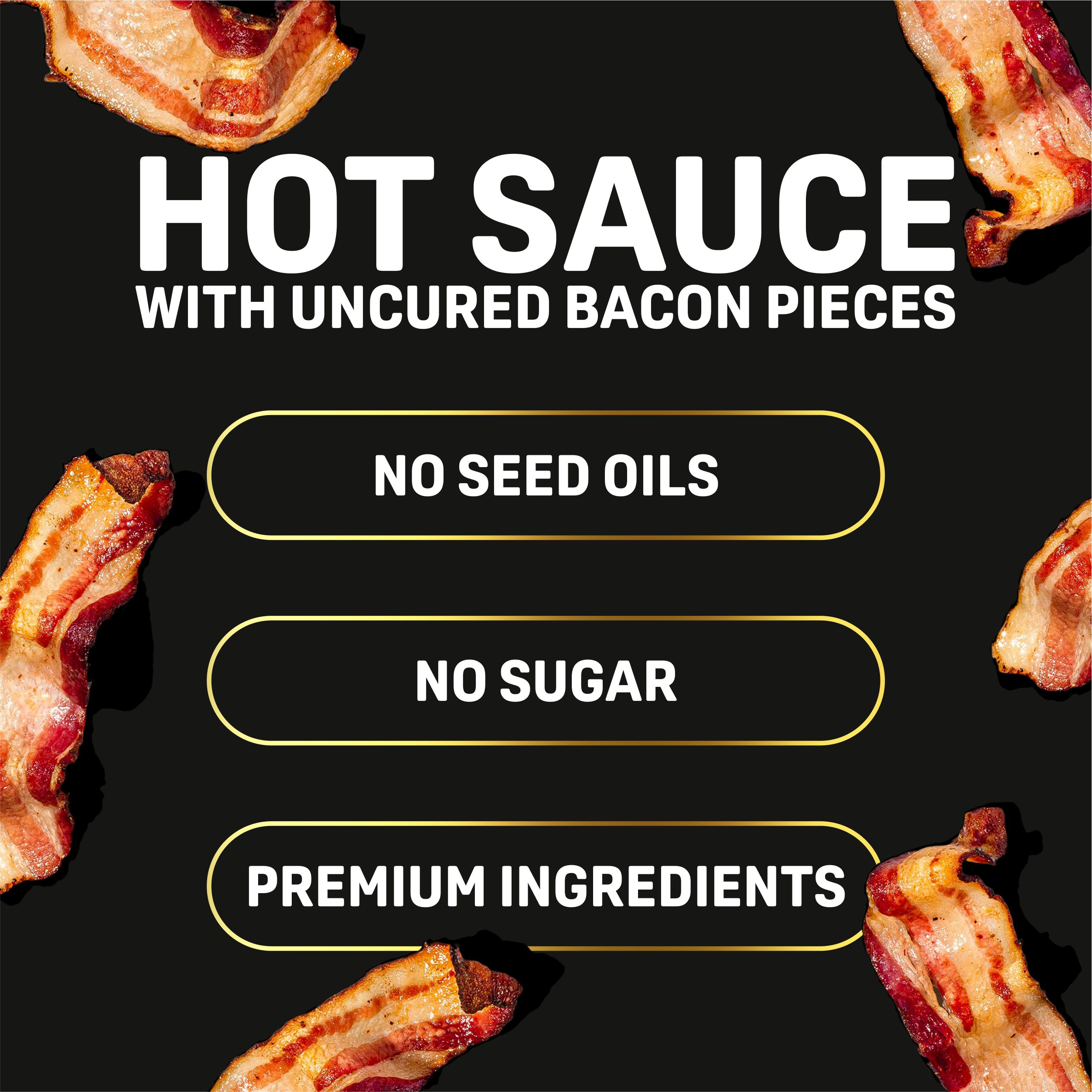 FLOCK Chicken Chips - Wholesale Hot Sauce - Baconic Hot Sauce | With Real Bacon Bits and No Seed Oils1