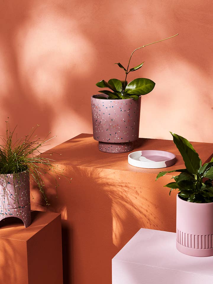 Ets Planter - Musk voor wholesale door Capra Designs