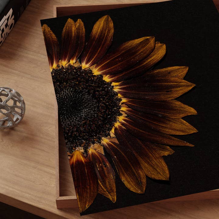 Hope Steinle Pressed Flower Art - Wholesale Art Print - Pressed Flower Fine Art Print - "Emberlight"4