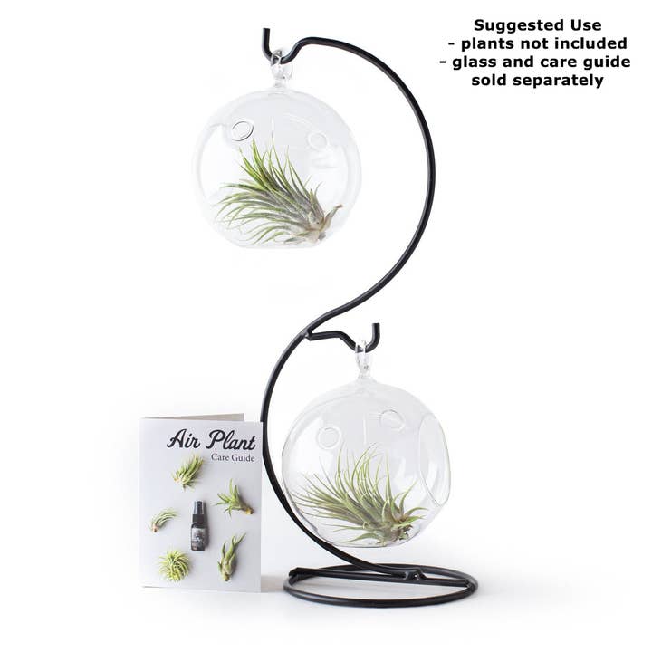 Cute Farms - Wholesale Hanging Planter - Metal Terrarium Hanger - Black