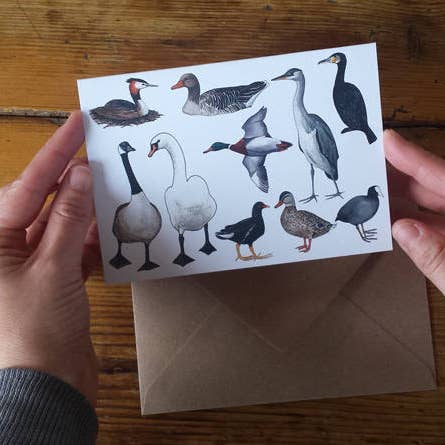 On the Pond - Ducks and Friends Greeting Card for wholesale by Alice Draws The Line
