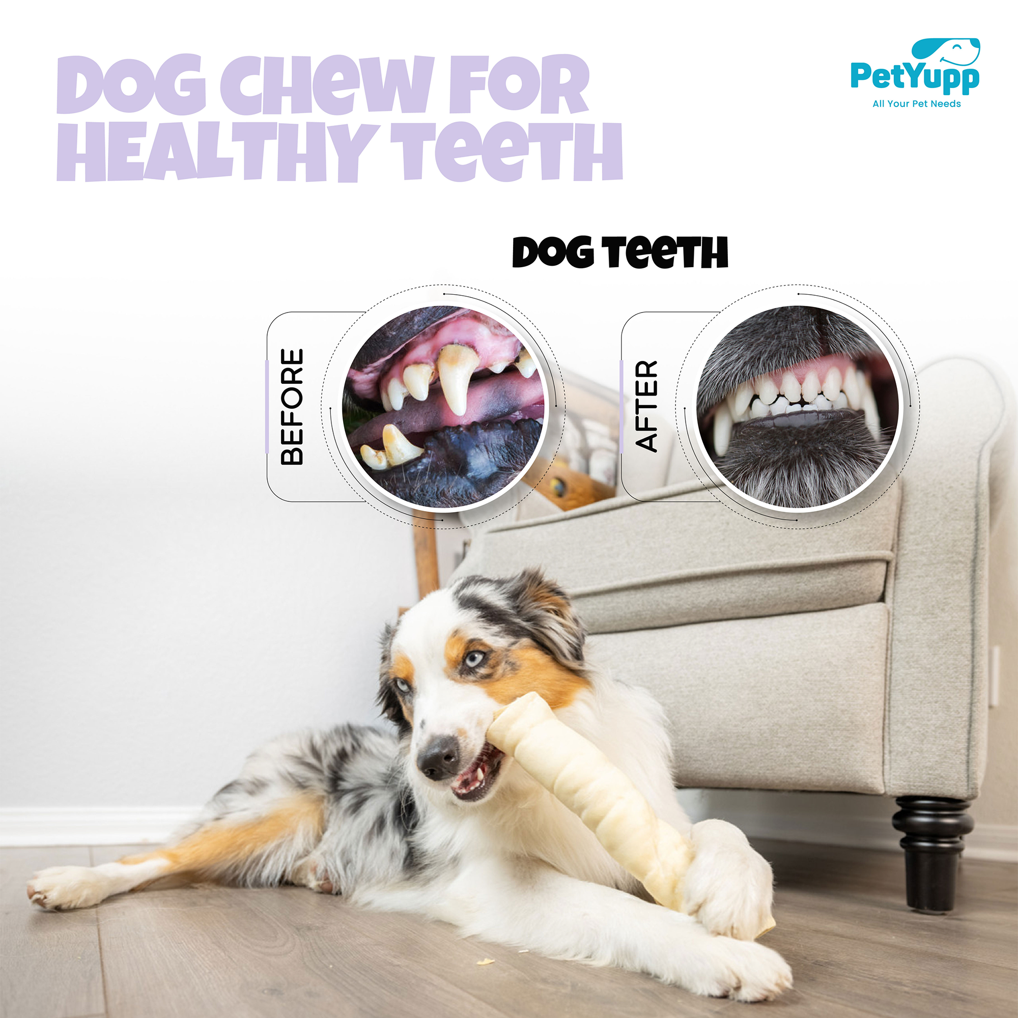 PetYupp - Wholesale Pet Treats - Dog - Dog Bulk Treats - Cheek Roll 12 Inch - Pack of 25 Count6