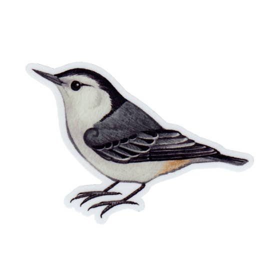 Kate Dolamore Art - Wholesale Sticker - White-breasted Nuthatch Vinyl Bird Sticker0