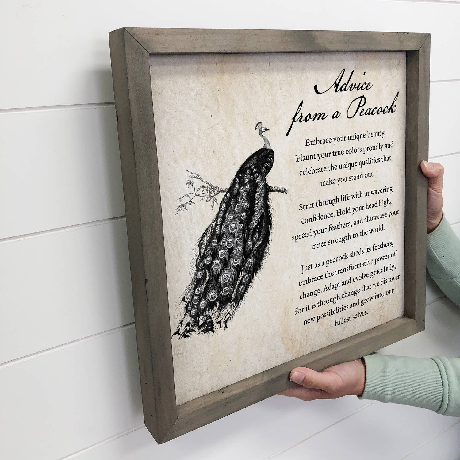 Hangout Home - Wholesale Sign - Advice From a Peacock - Peacock Wall Art2