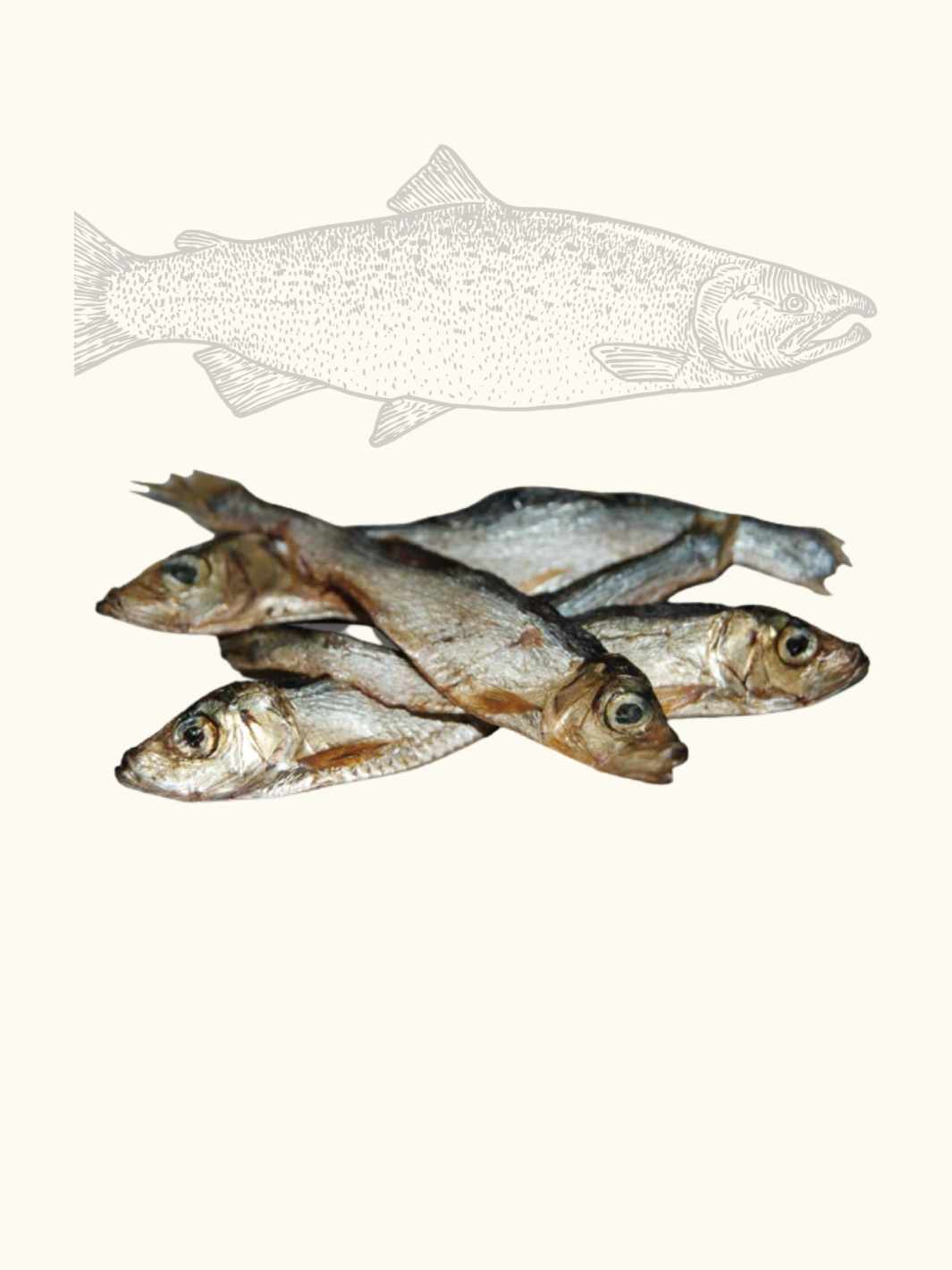 Truffe Délice - Wholesale Hondenkoekjes - Hond - Gedroogde sprotjes2