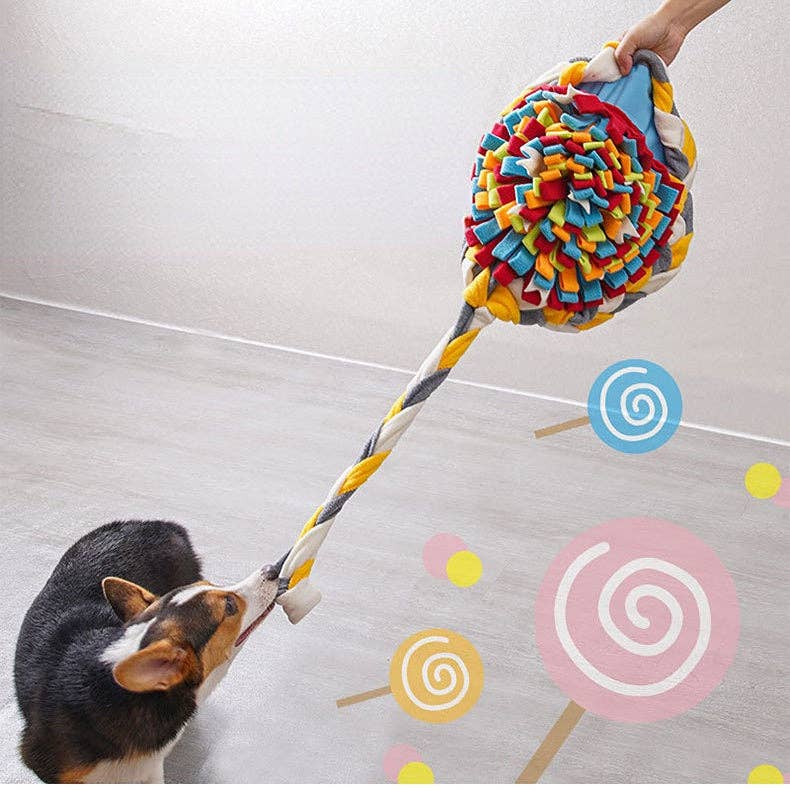 Cheerhunting - Vente Tapis de gamelle – chien - Snuffy - Tapis à renifler pour chien - Modèle Candy3