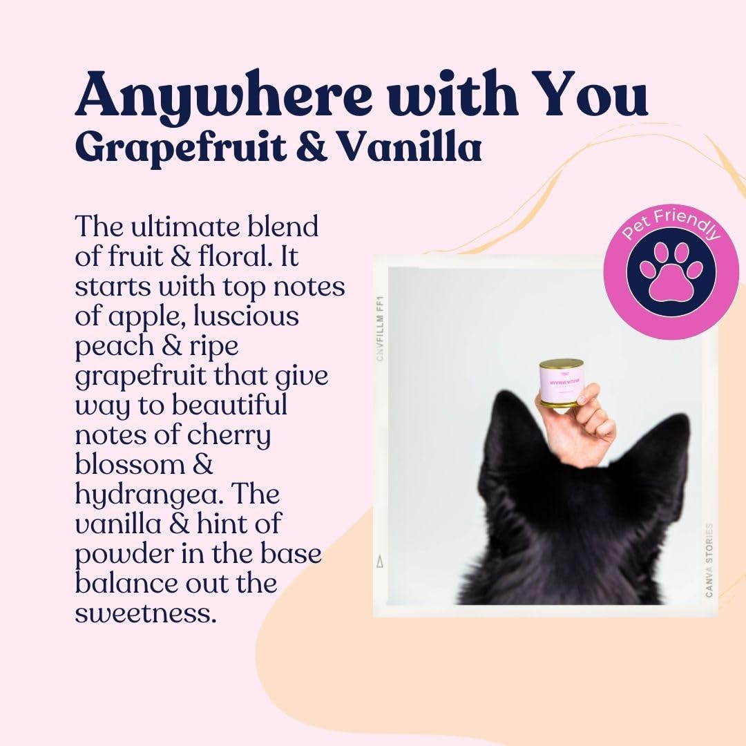 Companion Candles - Vente Bougie en bocal - Bougie parfumée au pamplemousse et à la vanille, à la noix de coco et au soja (sans danger pour les animaux de compagnie)4