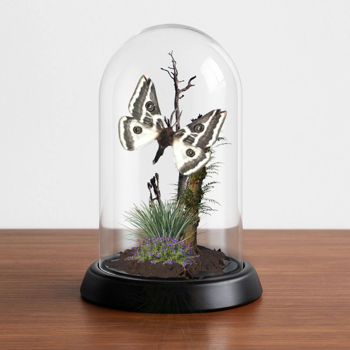 Instar Innovations - Vendita all'ingrosso Decorazioni da tavolo - Collezione di 6 diorami con farfalle sotto cupola da 15x10 cm5