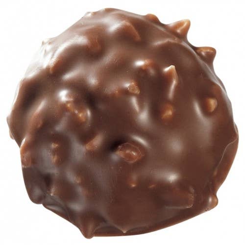Chocolatier de Paris – Engroshandel Chokoladebar – Rochers praliner0