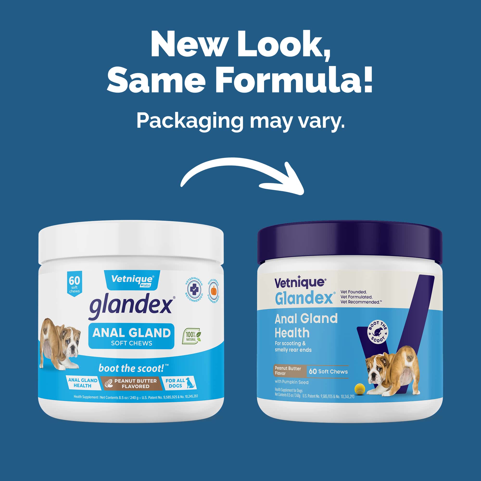 Pet Palette Distribution - Wholesale Pet Supplement - Dog - Glandex Anal Gland Support Soft Chews Peanut Butter 60ct1