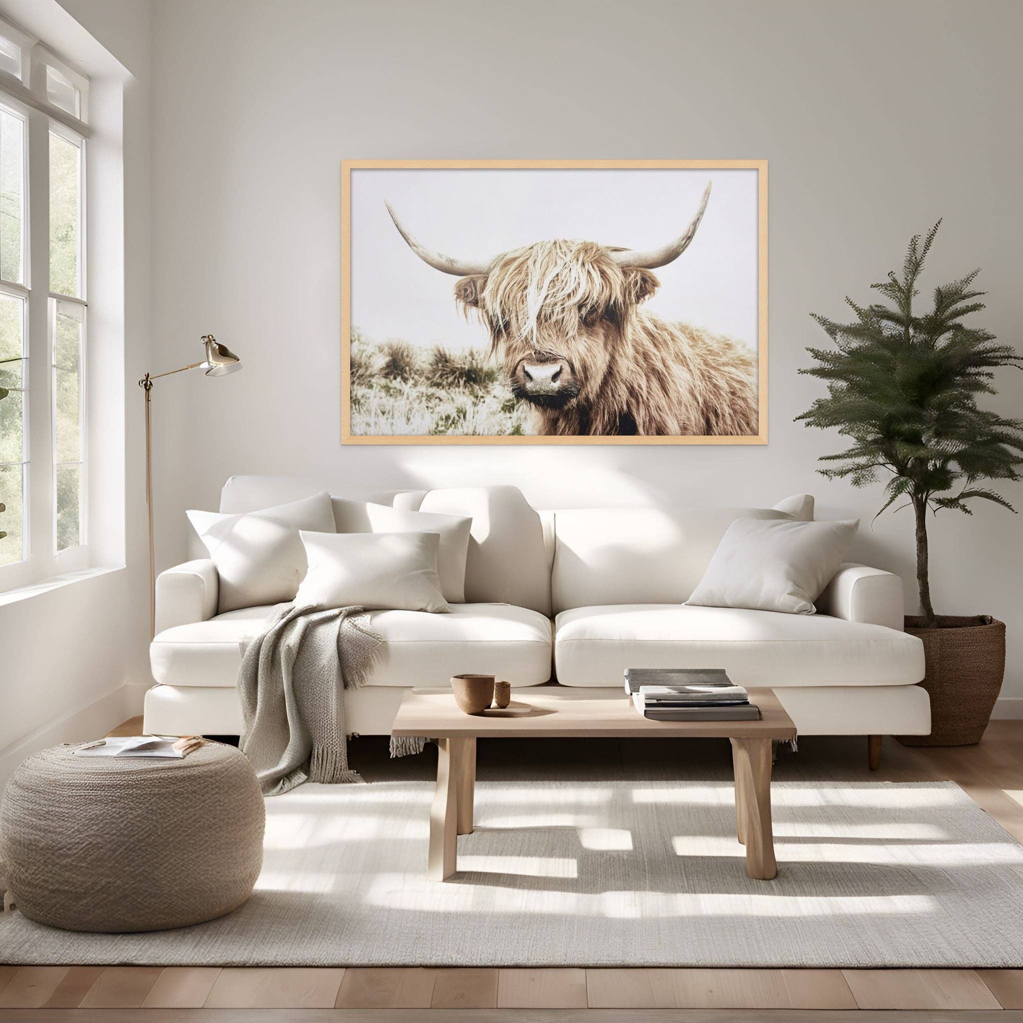 August Print Shop - Vente Affiche d'art - Vache Highland blonde dorée1