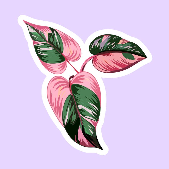Autocollant découpé à l'emporte-pièce Pink Princess Philodendron pour la vente par The Sticker Lab