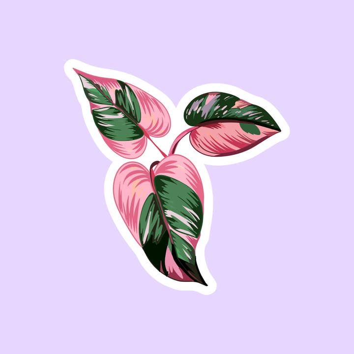 Autocollant découpé à l'emporte-pièce Pink Princess Philodendron pour la vente par The Sticker Lab