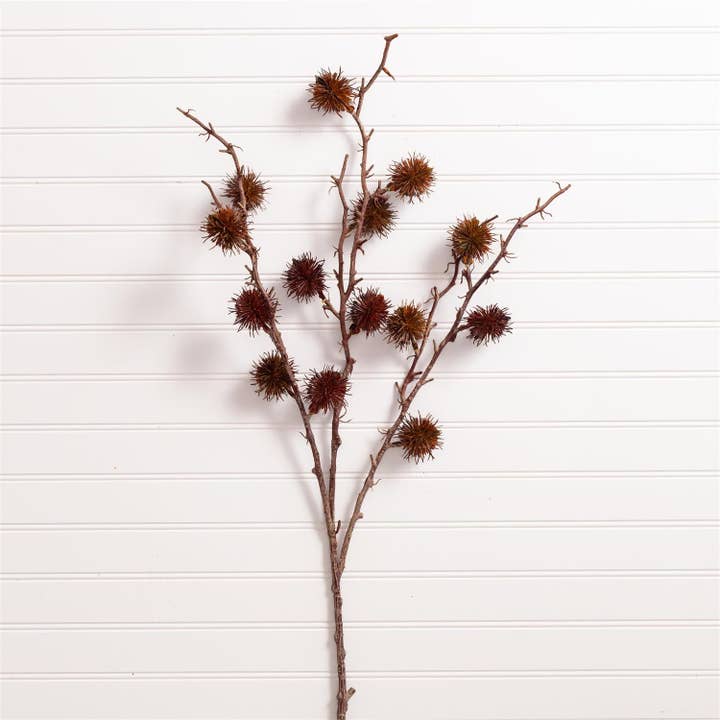 Spray - Gum Pod, Brown (PK/12) for wholesale by Audrey's Home & Gift