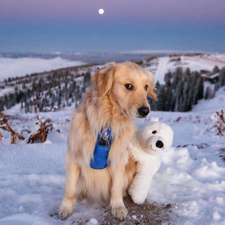 Wildside Dog Gear - Wholesale Pet Harness - Dog - Aurora Polar Bear Adjustable Dog Harness 4