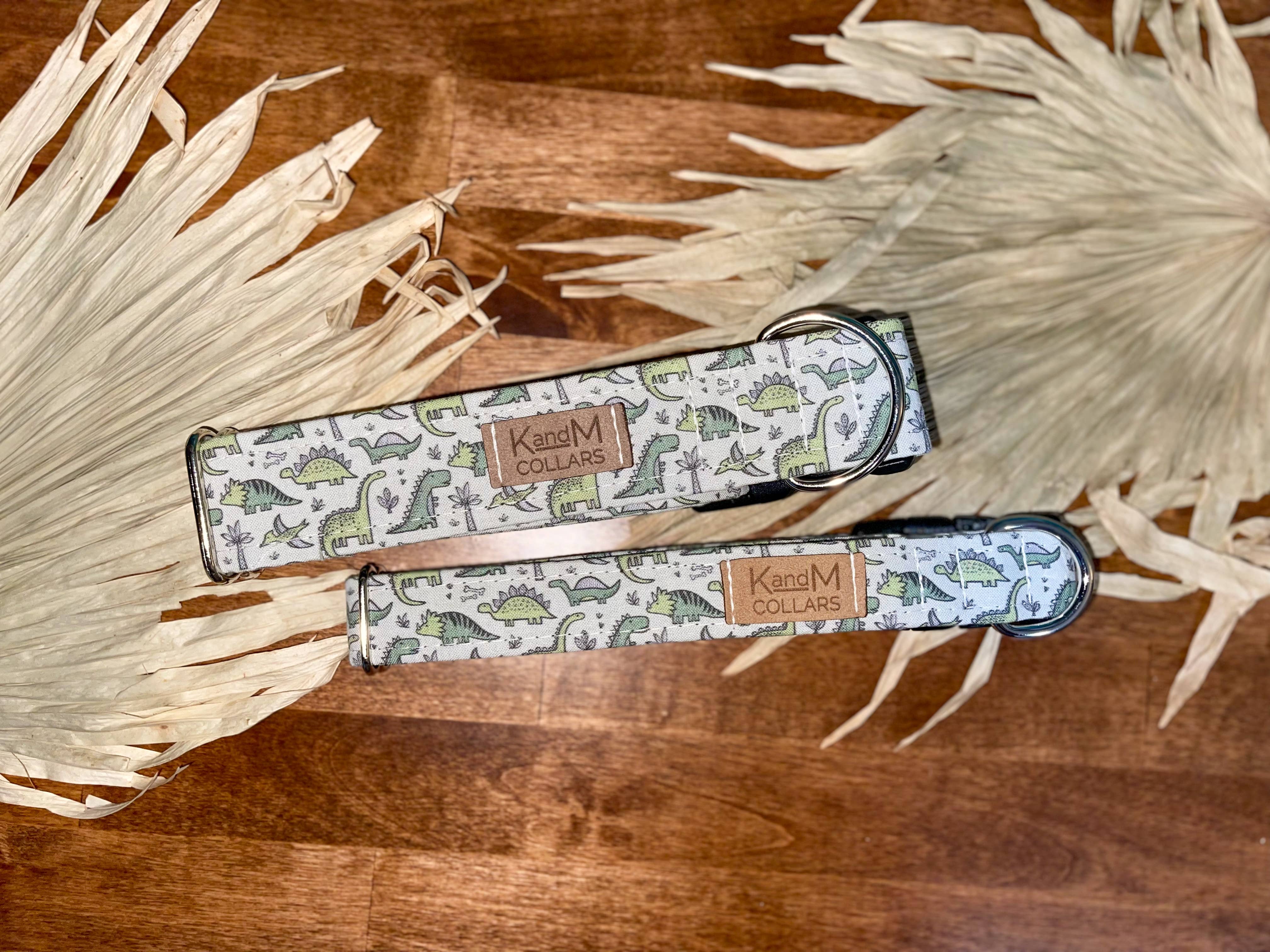 K and M Collars - Wholesale Pet Collar - Dog - Green Tiny Dinos Dog Collar, Pet Accessory, Dinosaurs, T-Rex2