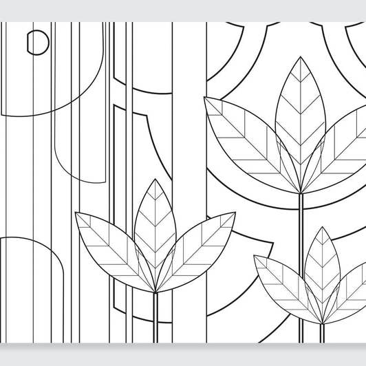Natural Wonders : un livre de coloriage Patrick Hruby pour la vente par AMMO Books