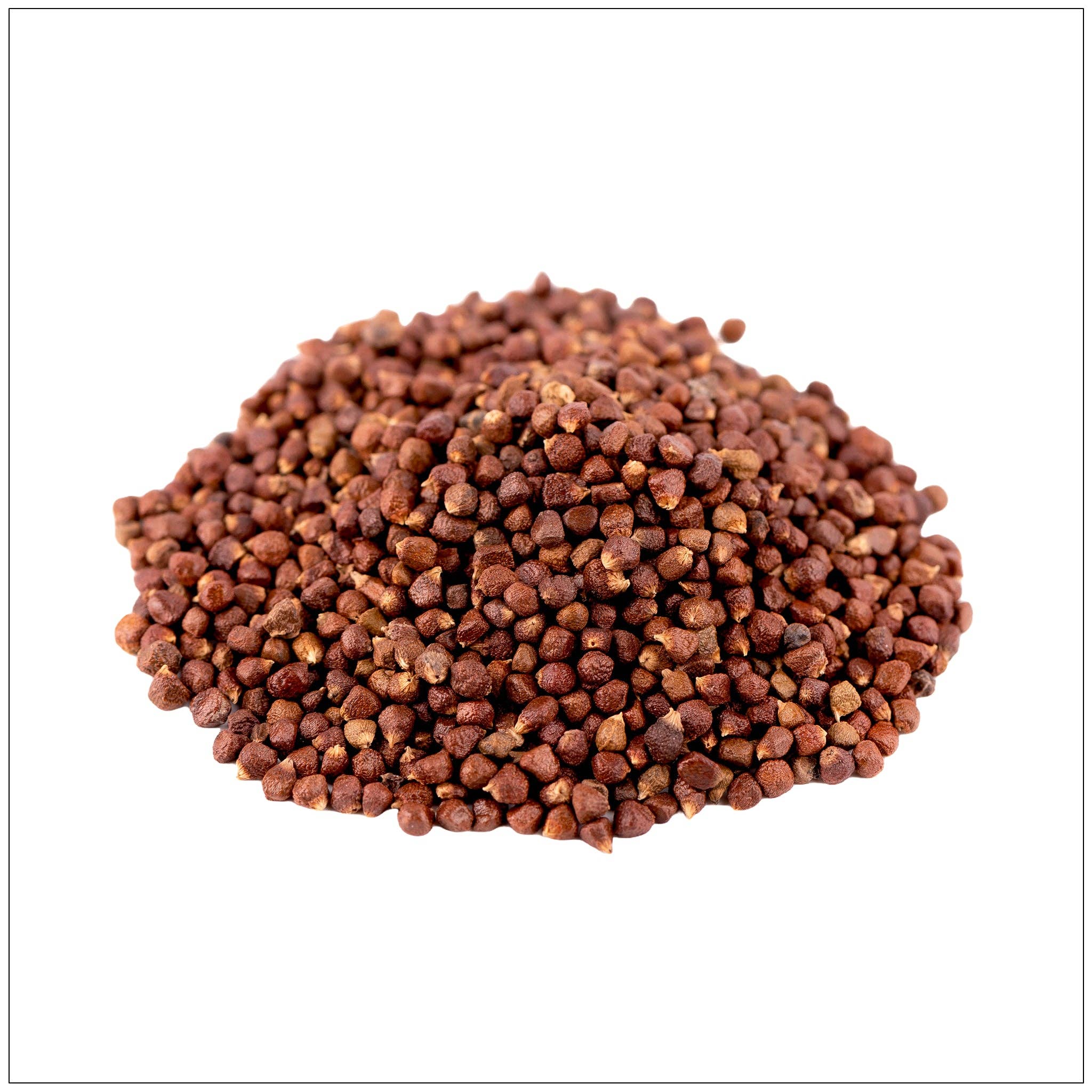 Alive Herbals - Wholesale Plant Seeds - Grains of Paradise0