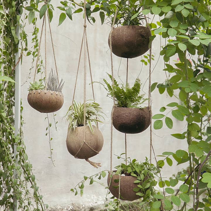 Rainforest Bowls - Wholesale Hanging Planter - Hanging Coconut Planter (3-Tier)