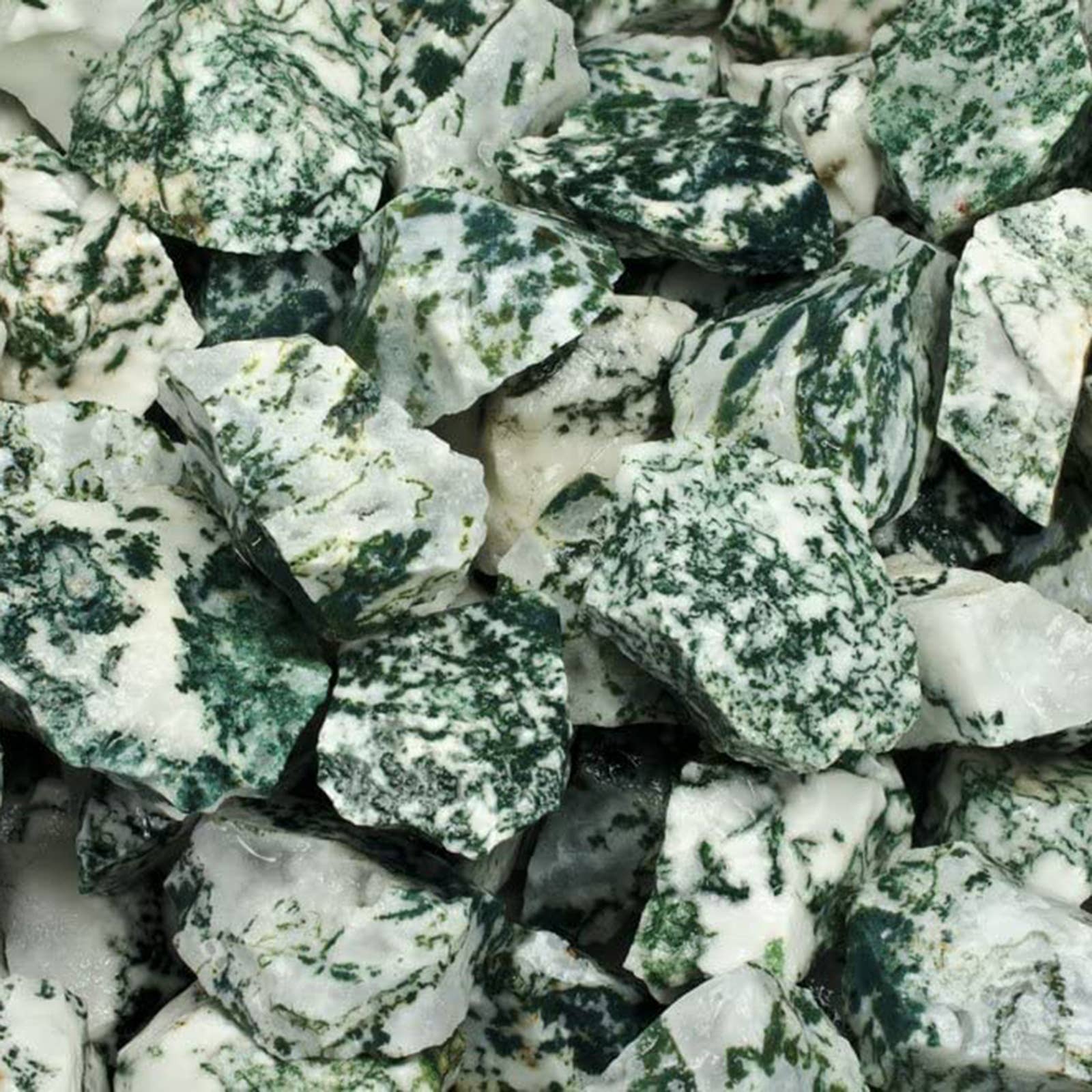 Fantasia Mining – wholesale Andlig sten/kristall – Rå Tree Agate från Indien – Naturliga stenar, 1 lb (454 g)3