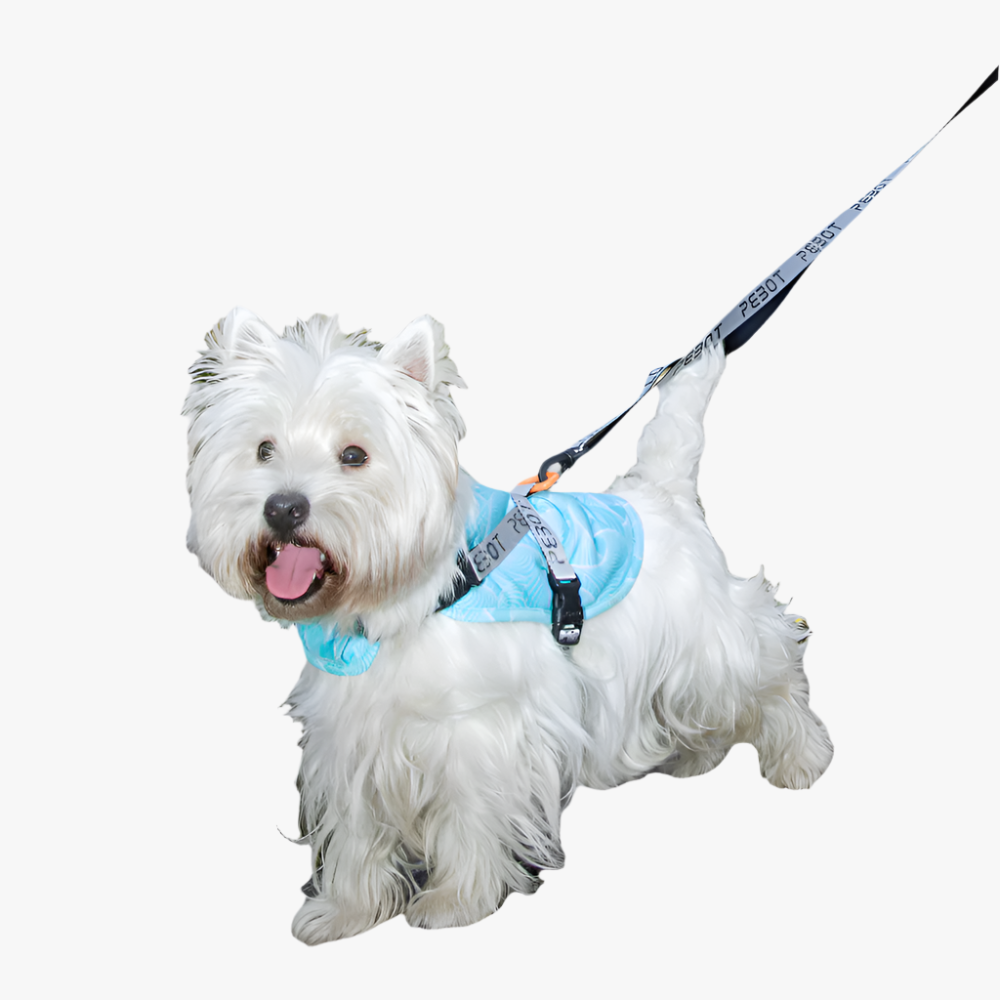 PEBOT - Wholesale Pet Harness - Dog - Hedwig Cooling Vest/Harness - Blue Geo0
