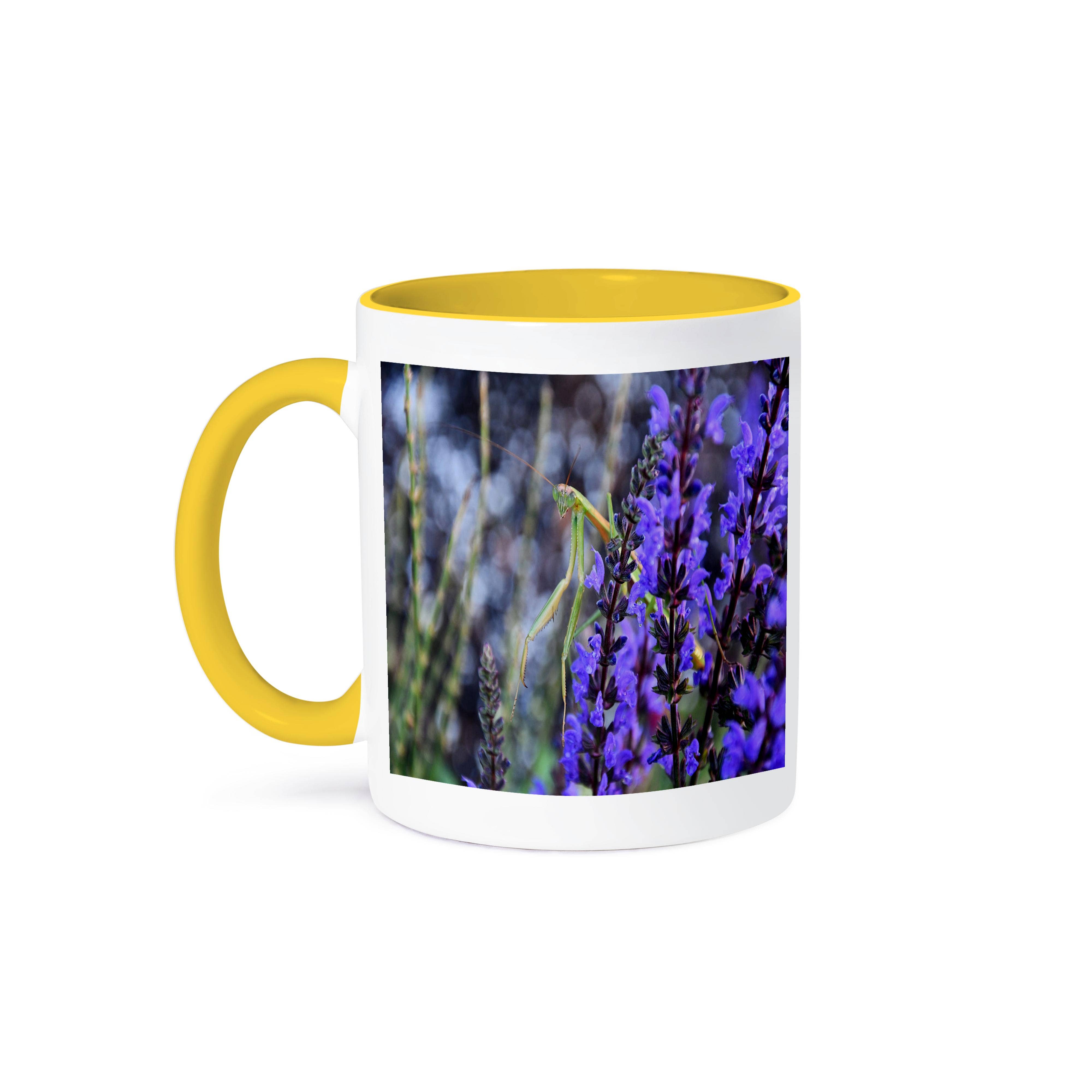 3dRose - Wholesale Coffee Mug - 3dRose, Praying Mantis sitting in blue flowers , Mug0