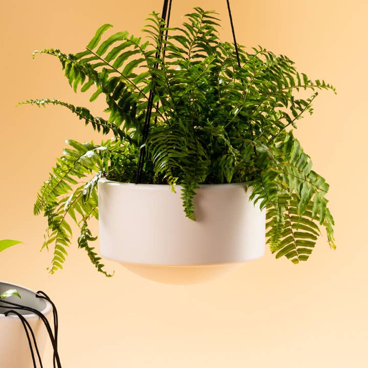 Skye Hanger lg and other Purchase Wholesale plastic hanging pots. Free Returns & Net 60 Terms on Faire trending on Faire.