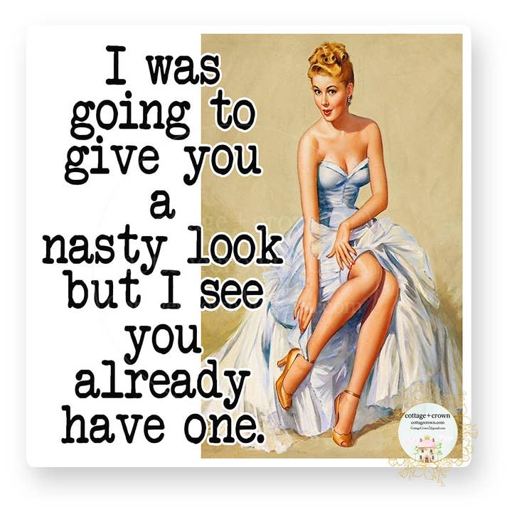 cottage + crown - Wholesale Sticker - Nasty Look I See You Already Have One Retro Vinyl Sticker