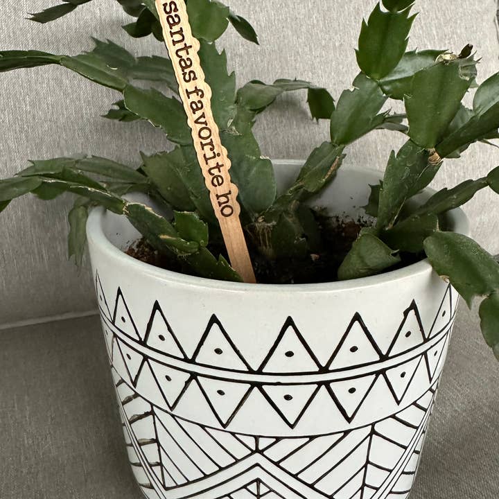 Dogwood and Dust - Wholesale Garden/Lawn Stake - Snarky Holiday Christmas Gift Plant Sticks Signs5