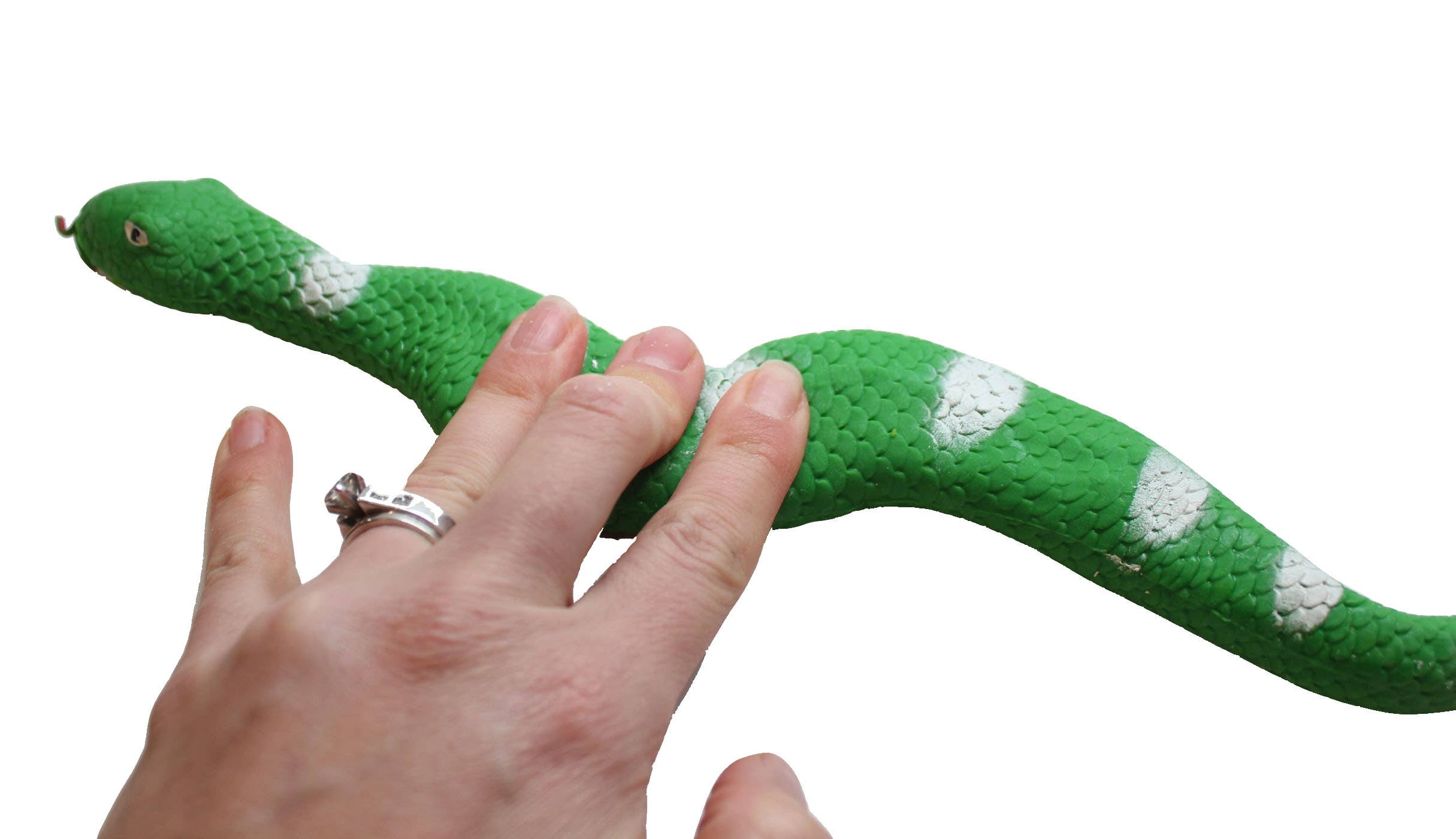 Curious Minds Toys - Wholesale Fidget Toy - Kids - 1- 15.5" Stretchy Snakes  Crushed Bead Filled- Reptile1