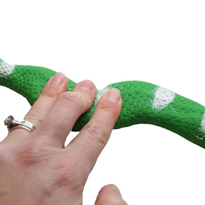 Curious Minds Toys - Wholesale Fidget Toy - Kids - 1- 15.5" Stretchy Snakes Crushed Bead Filled- Reptile1