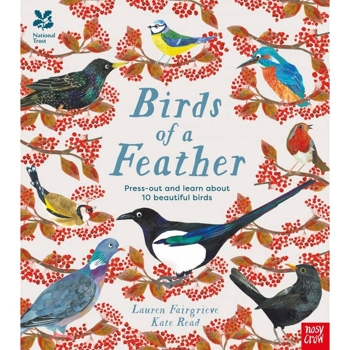 National Trust: Birds of a Feather for wholesale by Nosy Crow