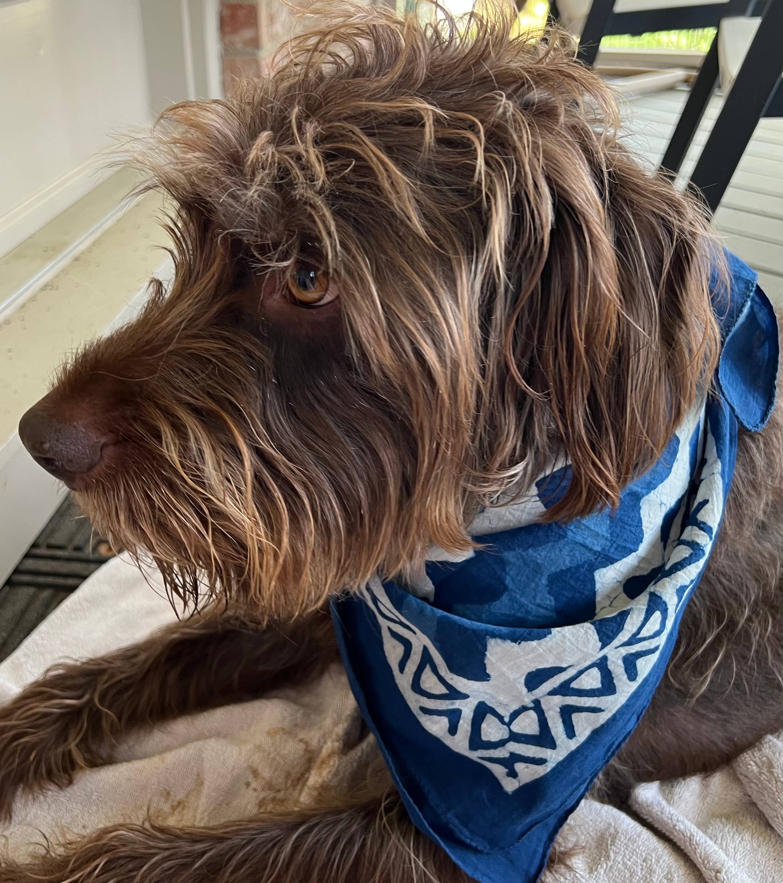 Peaceware - Wholesale Bandana - Women's - Bandana - Indigo Swim2