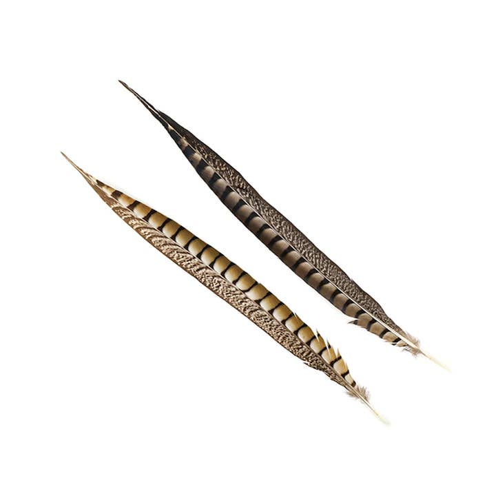 Zucker Feather Products - Wholesale Feathers - Lady Amherst Pheasant Tails - Natural - 16 - 20" 12 pcs2