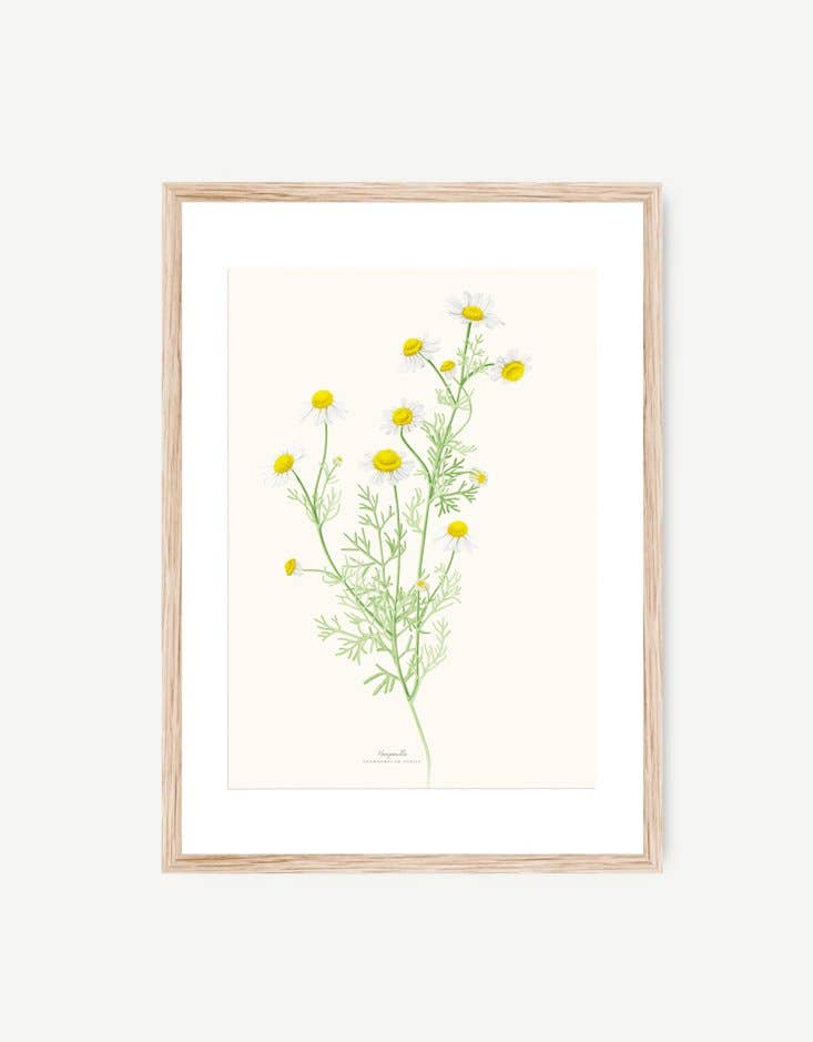 Save the date projects - Wholesale Art Print - MANZANILLA Decorative Film0