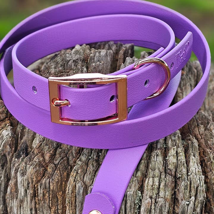 Trinkety Paws - Wholesale Pet collar – Dog - AMETHYST - Waterproof BioThane© Dog Collar / Dog Lead5