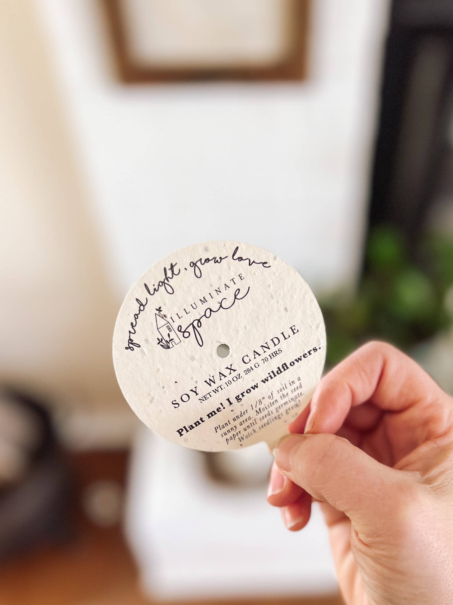 Illuminate Space - Wholesale Jar/Filled Candle - January Birthday Month Candle5