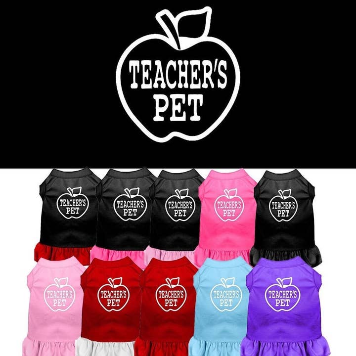 Pet Dress "Teacher's Pet" for wholesale by As You Wish Apparel