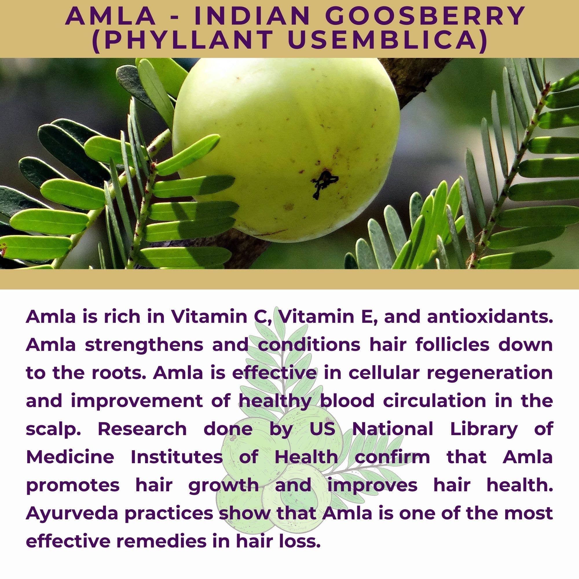 The Sacred Essence - Wholesale Hair Serum - KALA - Saffron Based Serum with Biotin & 15 Ayurveda Herbs8