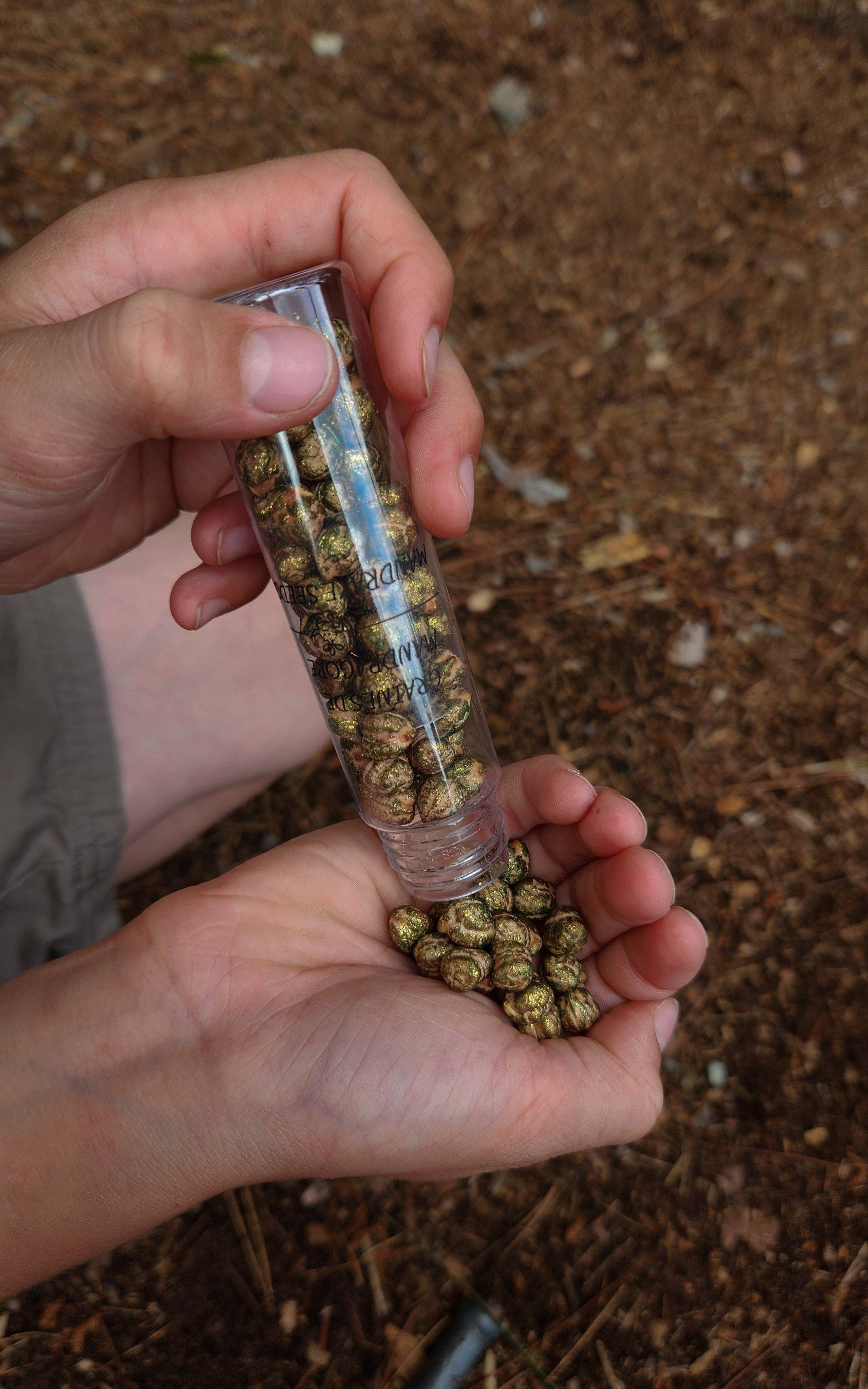 Les petits sorciers - Wholesale DIY Craft Kit - Kids - School of Wizardry - Magic Potion Kit3