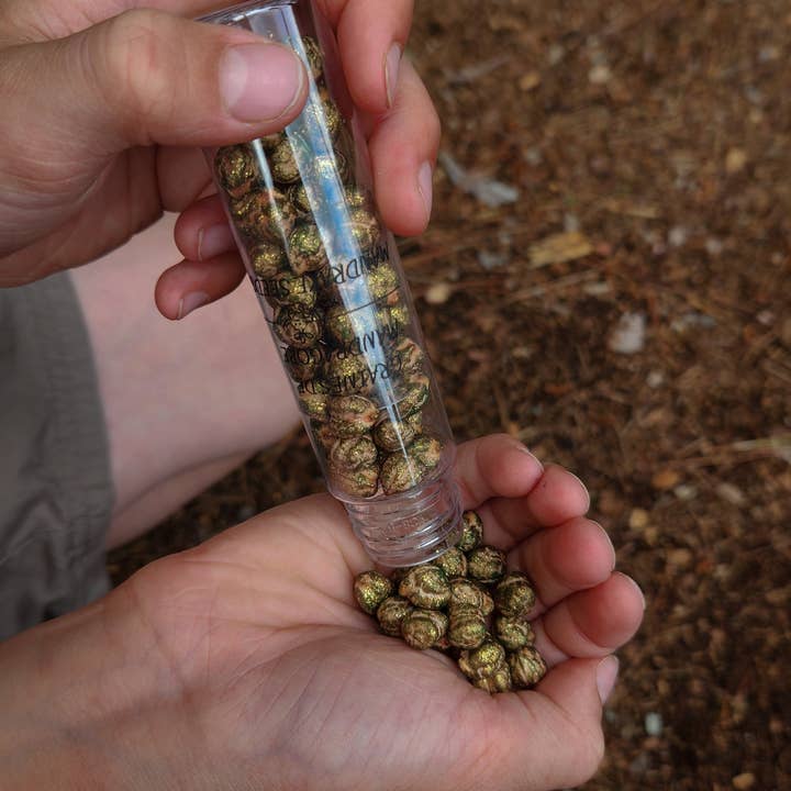 Les petits sorciers - Wholesale DIY Craft Kit - Kids - School of Wizardry - Magic Potion Kit3