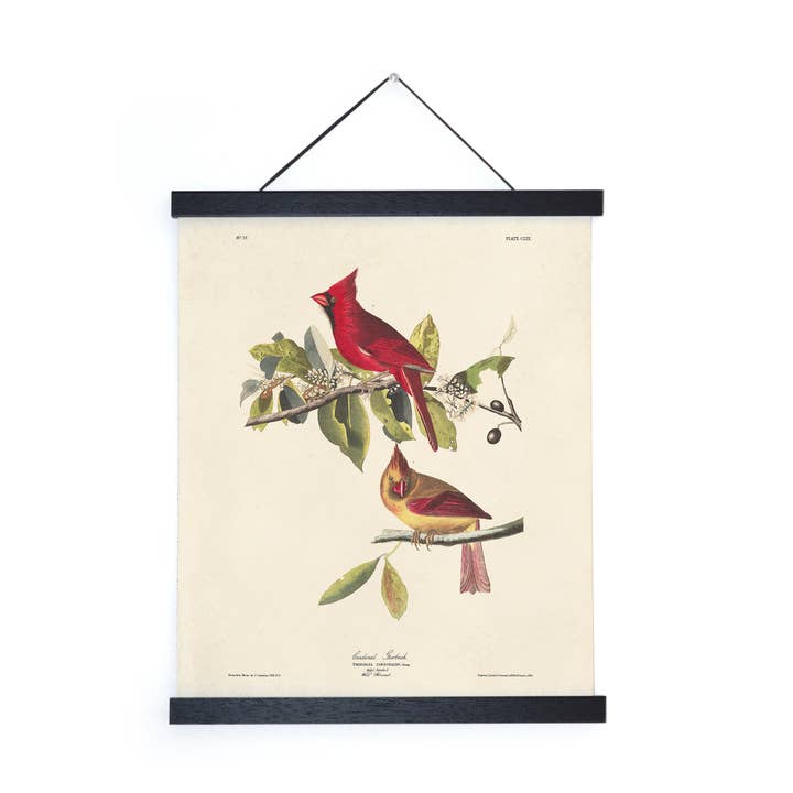 Curious Prints – wholesale Konsttryck – Vintage Audubon Cardinal Bird Print w/valfri ram1