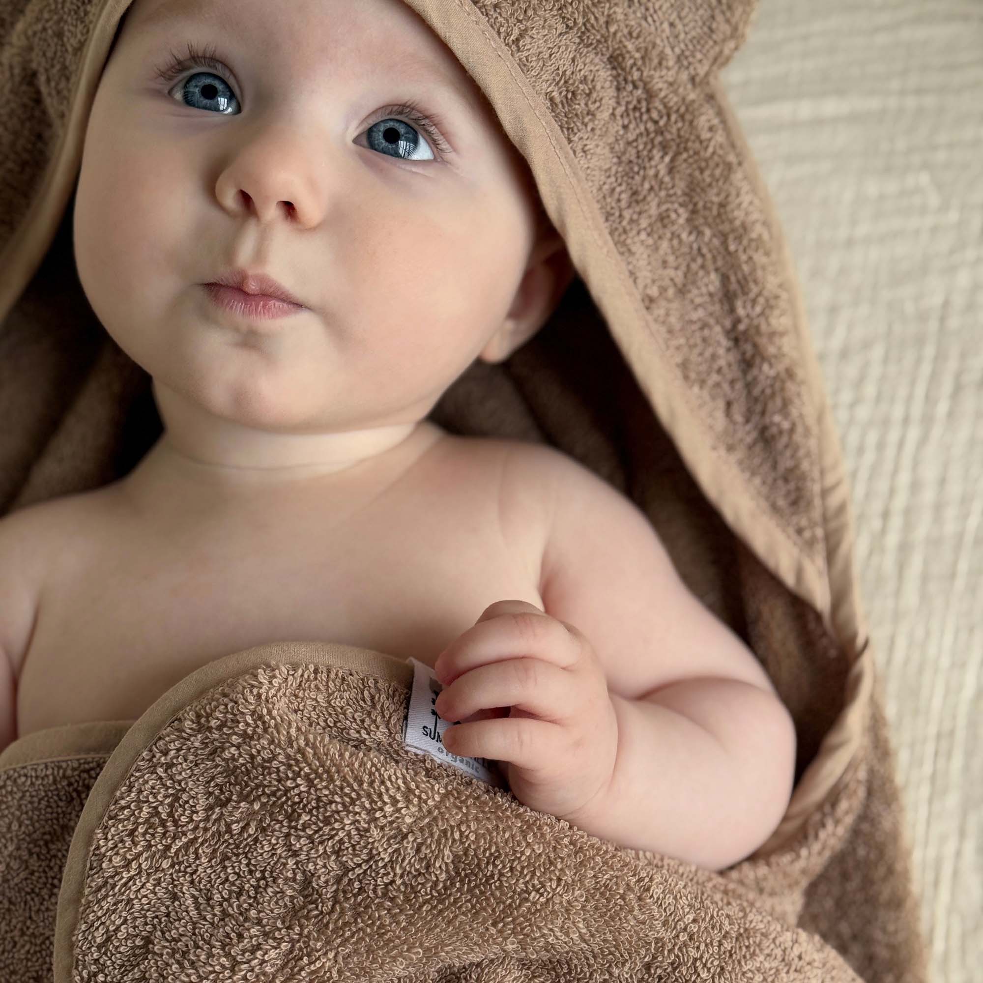 Summerville organic - Wholesale Hooded Towel - Kids & Baby - Organic Hooded Baby Towel Rabbit Warm Taupe2