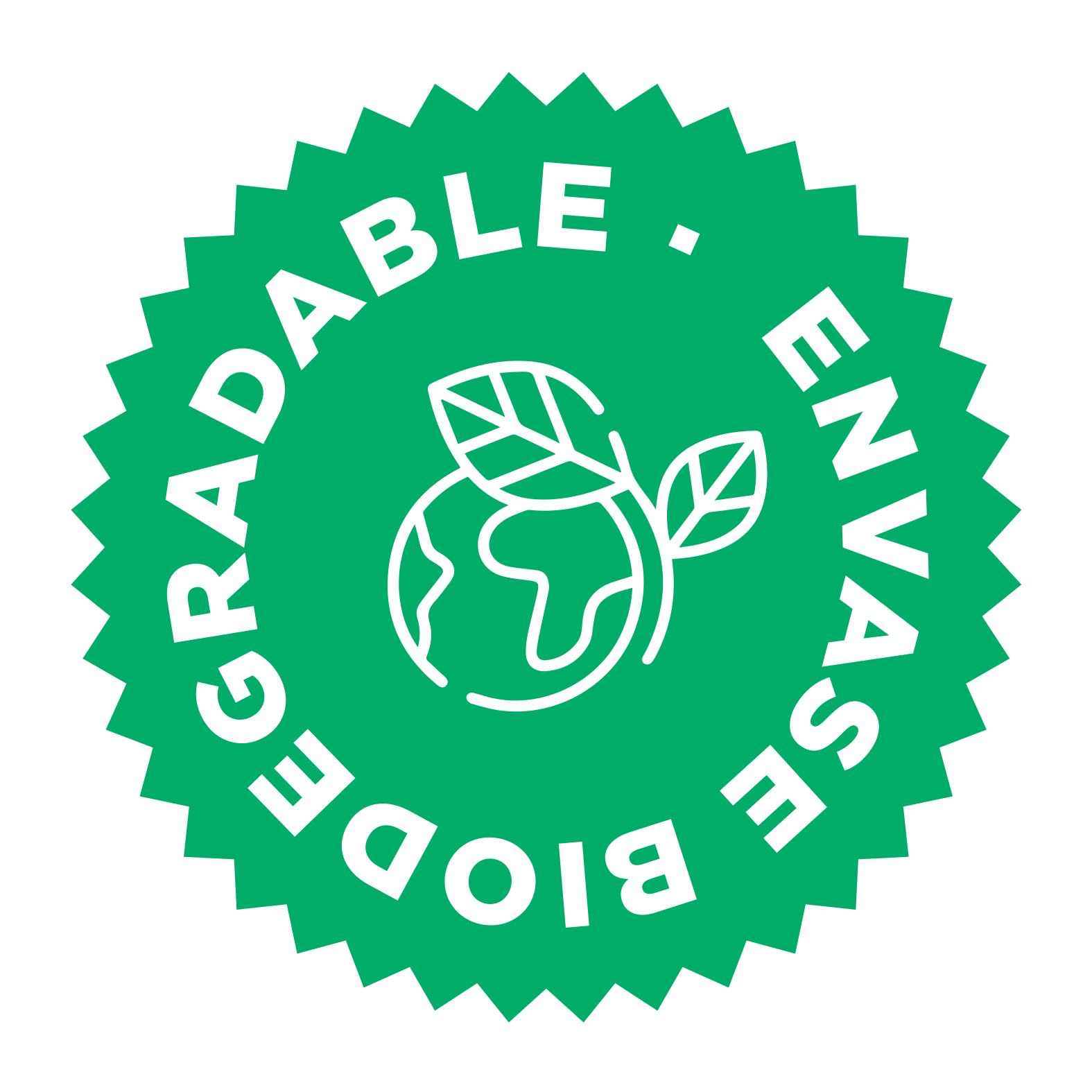 Mediterranen Original Foods – Großhandel Chips – Bio-Pommes frites mit Meersalz aus Ibiza3