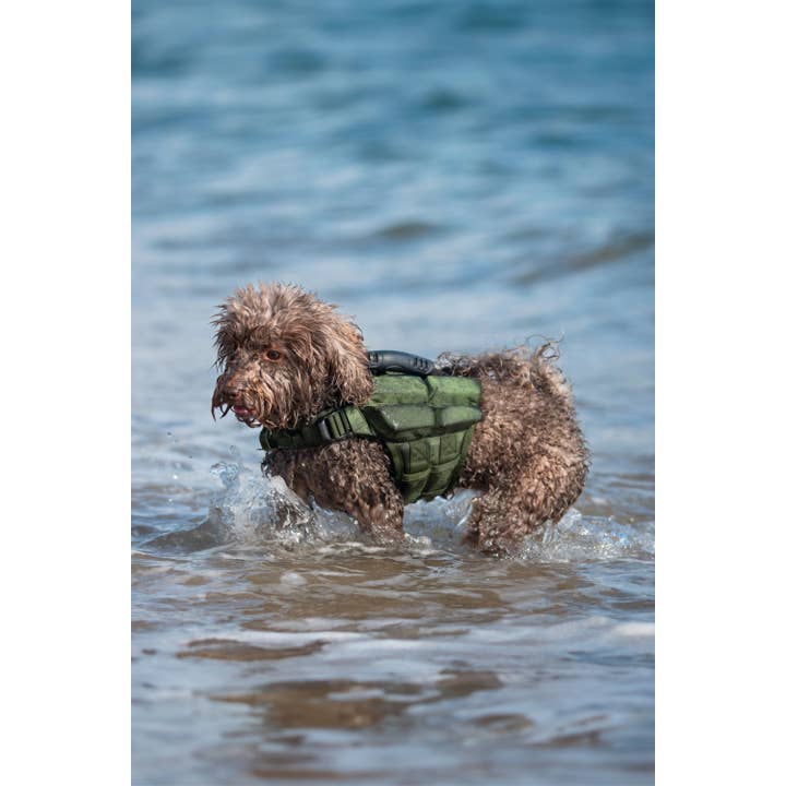 NOAH AND PAW LLC - Vente Veste – chien - Gilet de sauvetage pour chien NOAH AND PAW avec 4 mousses flottantes - Vert24